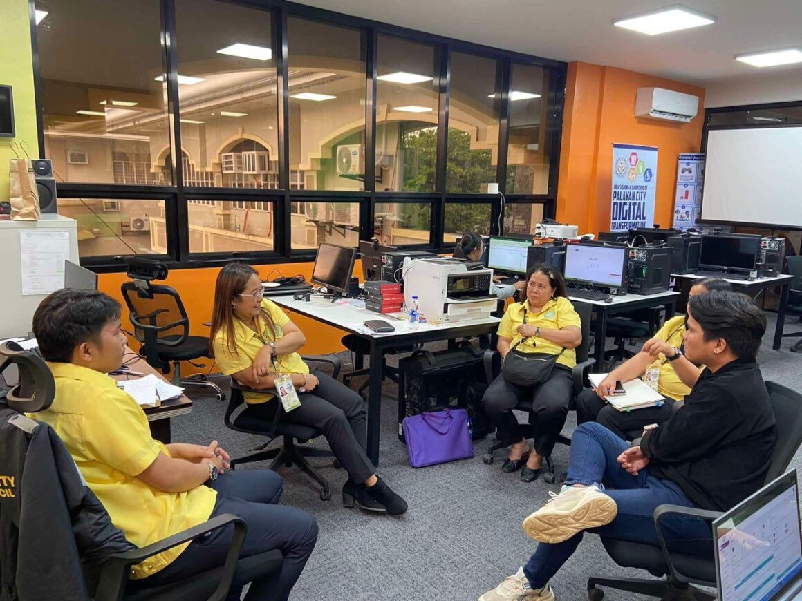 Local Government IT project management