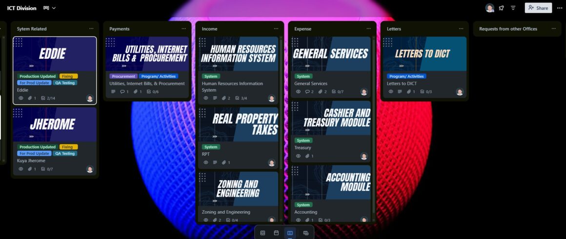 local government IT project management